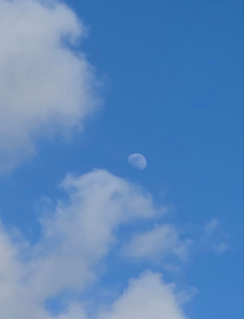 20260328_1647326348464216405860839